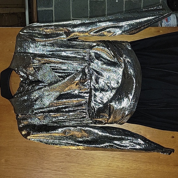 Silver Dress - Picture 2 of 4